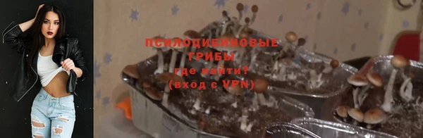 прущий лед Магас