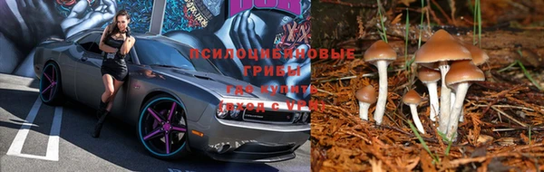 соль ск Магадан