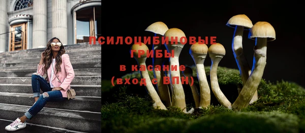 прущий лед Магас