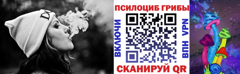 Галлюциногенные грибы Magic Shrooms  где купить   Городище 